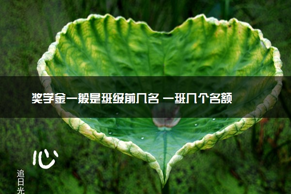 奖学金一般是班级前几名 一班几个名额