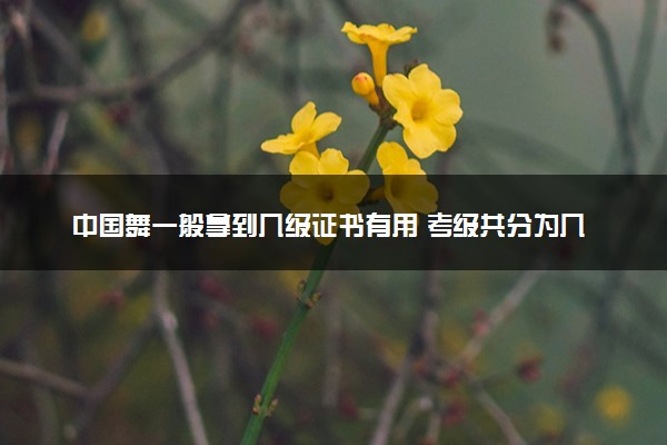 中国舞一般拿到几级证书有用 考级共分为几级