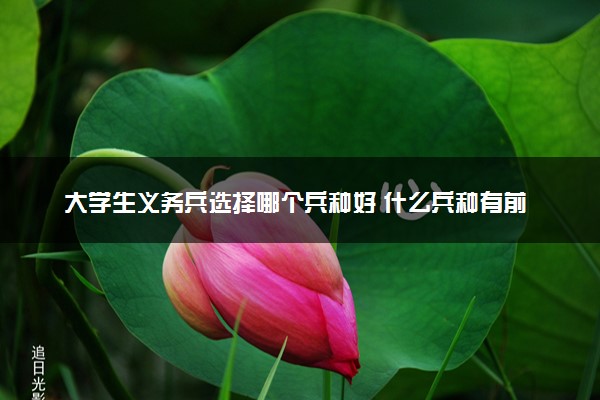 大学生义务兵选择哪个兵种好 什么兵种有前途