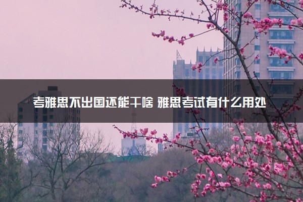 考雅思不出国还能干啥 雅思考试有什么用处