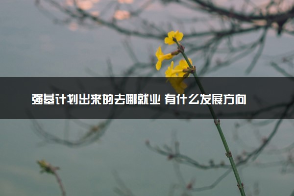 强基计划出来的去哪就业 有什么发展方向