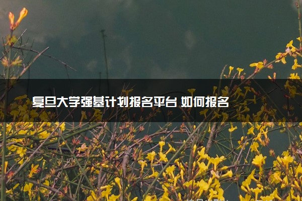 复旦大学强基计划报名平台 如何报名