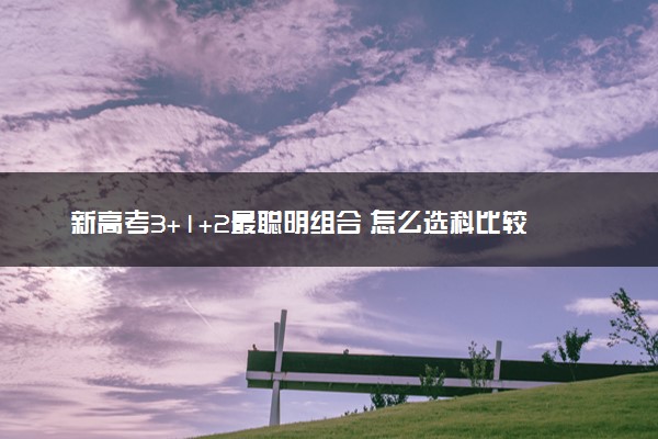 新高考3+1+2最聪明组合 怎么选科比较好