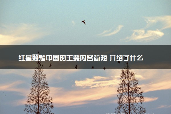红星照耀中国的主要内容简短 介绍了什么