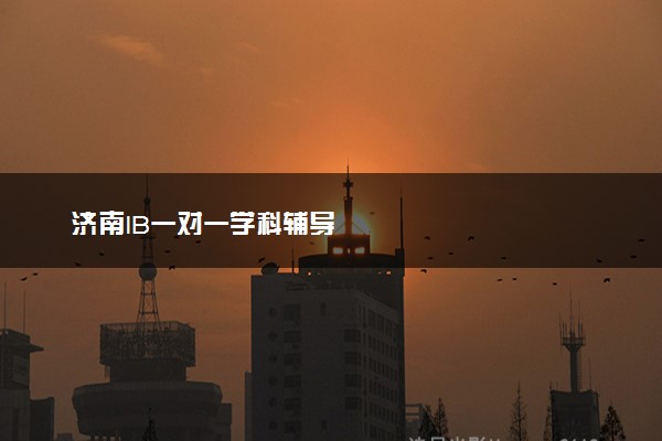 济南IB一对一学科辅导