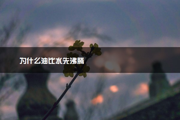 为什么油比水先沸腾