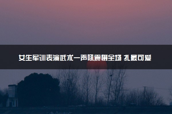 女生军训表演武术一声吼震慑全场 扎最可爱的马尾打最狠的拳