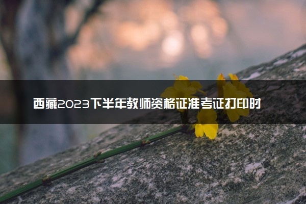 西藏2023下半年教师资格证准考证打印时间及入口