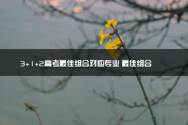 3+1+2高考最佳组合对应专业 最佳组合是什么