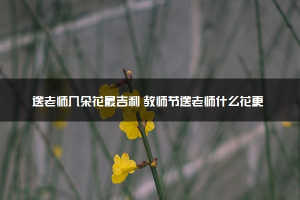送老师几朵花最吉利 教师节送老师什么花更好