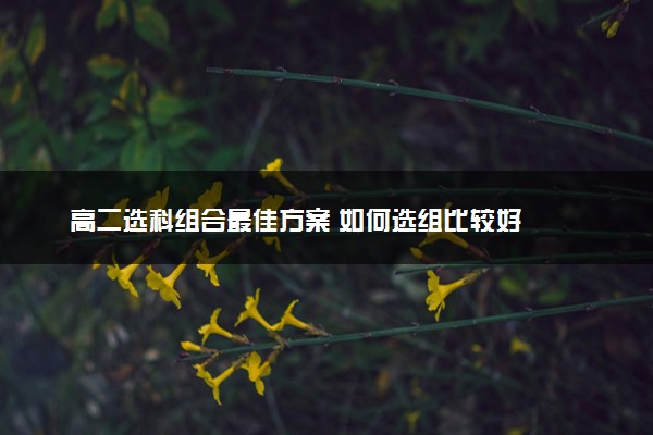 高二选科组合最佳方案 如何选组比较好