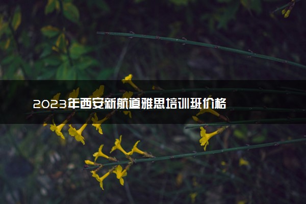 2023年西安新航道雅思培训班价格