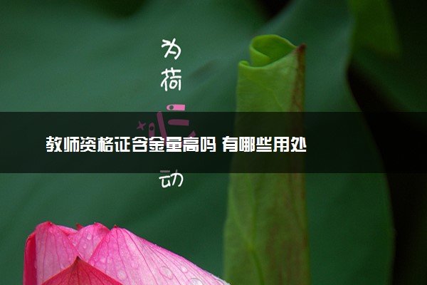 教师资格证含金量高吗 有哪些用处