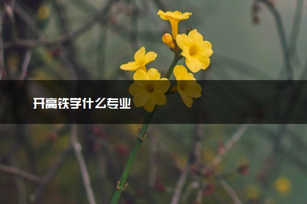开高铁学什么专业