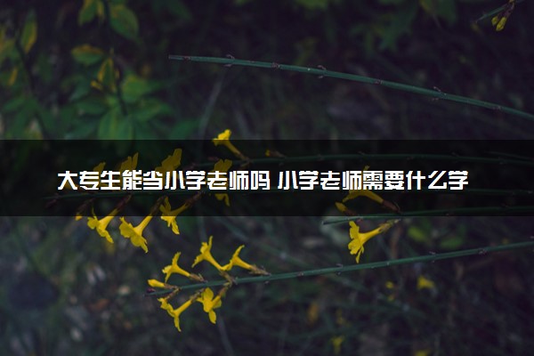 大专生能当小学老师吗 小学老师需要什么学历