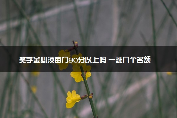 奖学金必须每门80分以上吗 一班几个名额