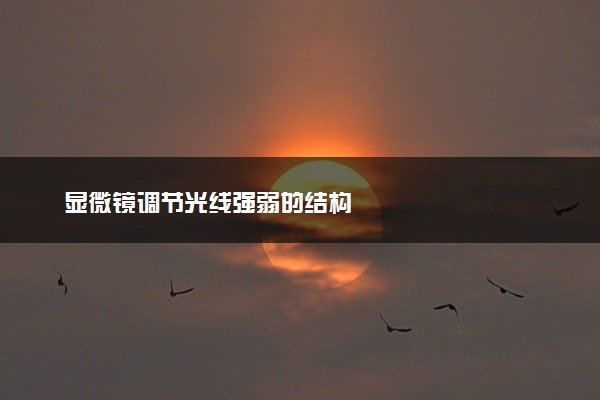 显微镜调节光线强弱的结构