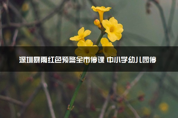深圳暴雨红色预警全市停课 中小学幼儿园停课通知