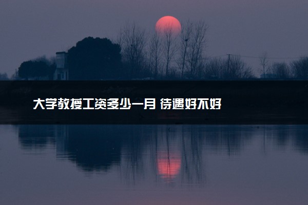 大学教授工资多少一月 待遇好不好
