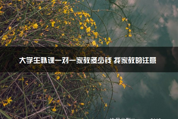 大学生补课一对一家教多少钱 找家教的注意事项