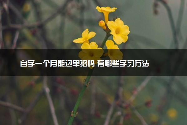 自学一个月能过单招吗 有哪些学习方法