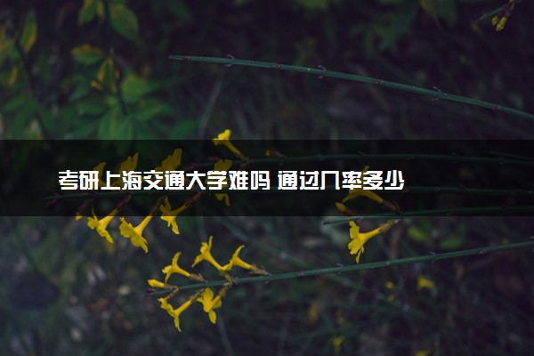 考研上海交通大学难吗 通过几率多少
