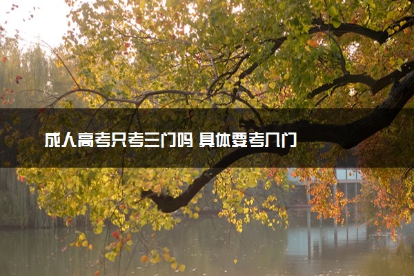 成人高考只考三门吗 具体要考几门