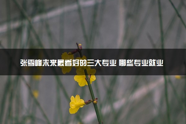 张雪峰未来最看好的三大专业 哪些专业就业前景好