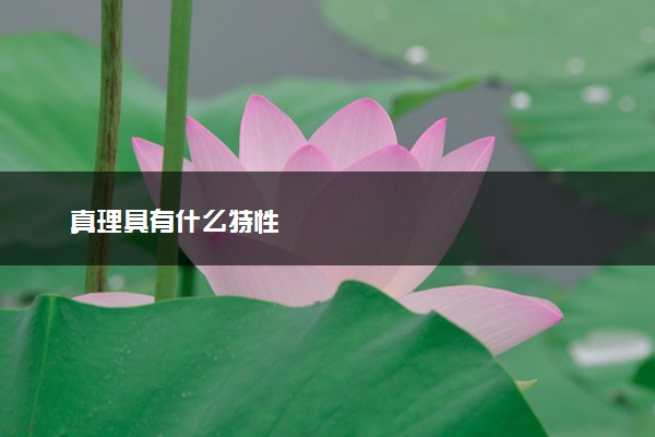 真理具有什么特性