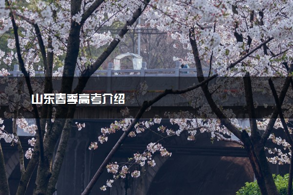 山东春季高考介绍