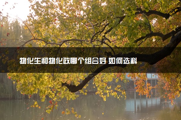 物化生和物化政哪个组合好 如何选科