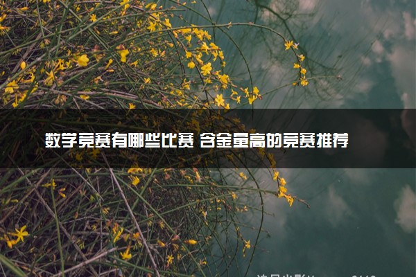 数学竞赛有哪些比赛 含金量高的竞赛推荐