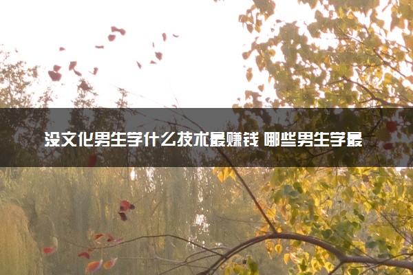 没文化男生学什么技术最赚钱 哪些男生学最吃香