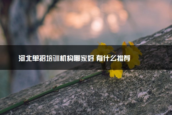河北单招培训机构哪家好 有什么推荐