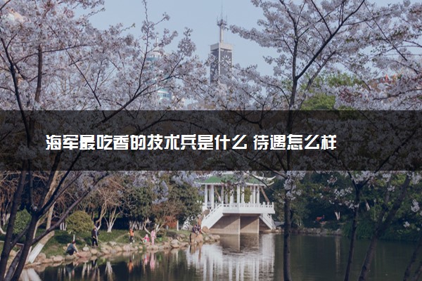 海军最吃香的技术兵是什么 待遇怎么样