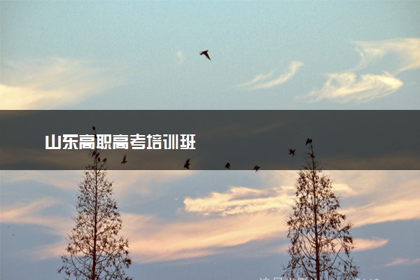 山东高职高考培训班