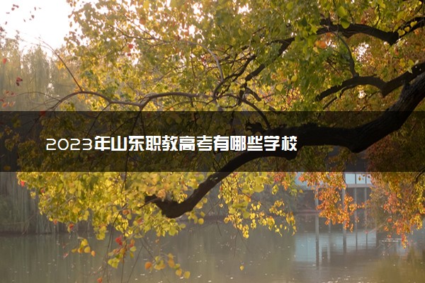 2023年山东职教高考有哪些学校