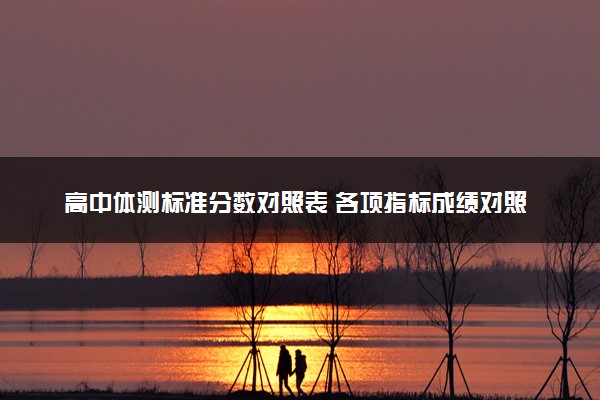 高中体测标准分数对照表 各项指标成绩对照