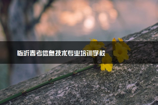 临沂春考信息技术专业培训学校