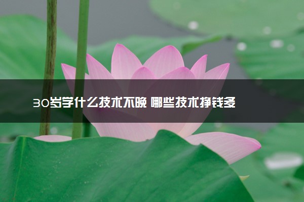 30岁学什么技术不晚 哪些技术挣钱多