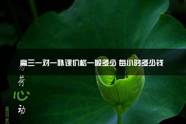 高三一对一补课价格一般多少 每小时多少钱
