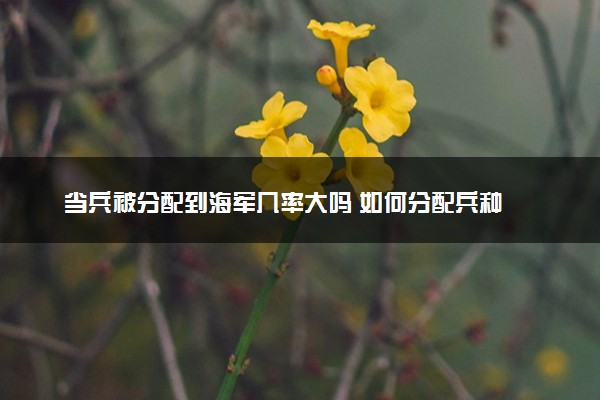 当兵被分配到海军几率大吗 如何分配兵种