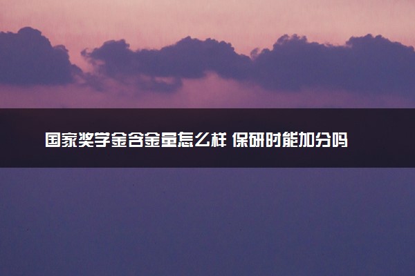 国家奖学金含金量怎么样 保研时能加分吗