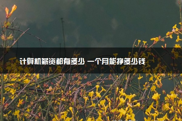 计算机薪资都有多少 一个月能挣多少钱
