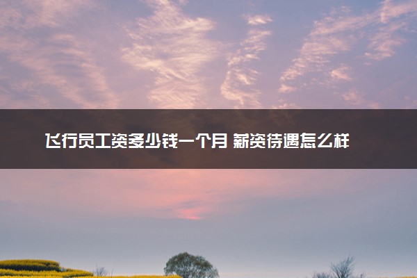 飞行员工资多少钱一个月 薪资待遇怎么样