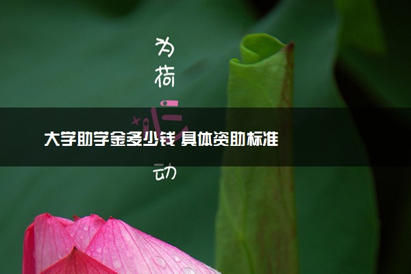 大学助学金多少钱 具体资助标准