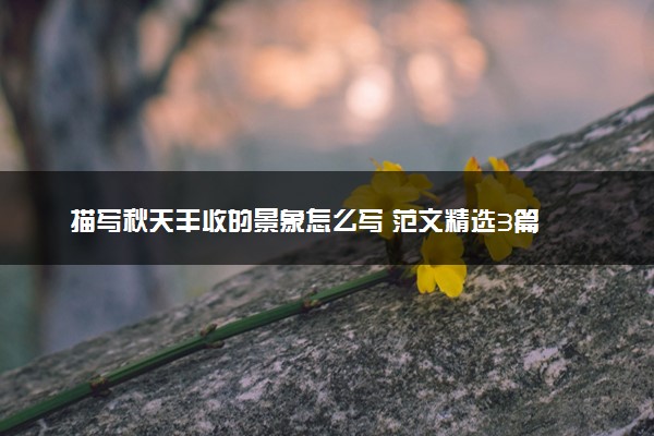描写秋天丰收的景象怎么写 范文精选3篇