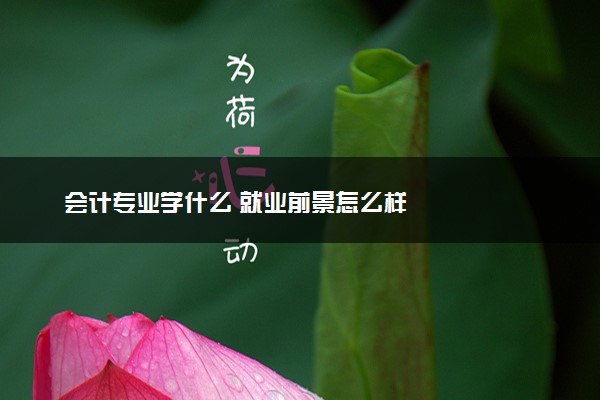 会计专业学什么 就业前景怎么样