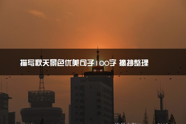 描写秋天景色优美句子100字 摘抄整理