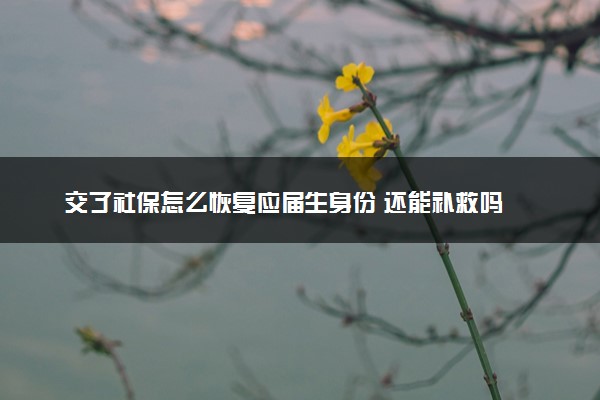 交了社保怎么恢复应届生身份 还能补救吗
